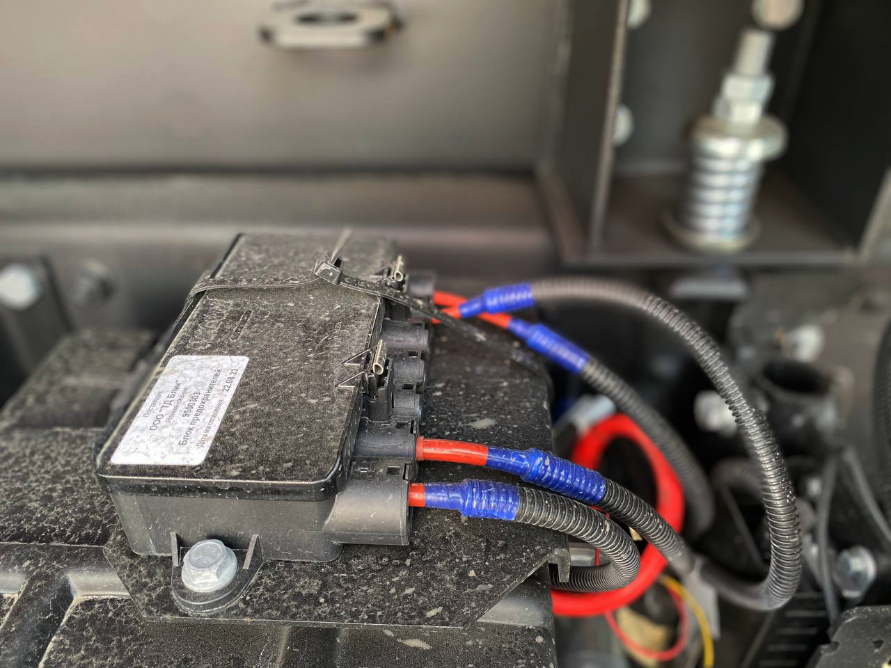 photo_5244868540249527412_y копия.jpg